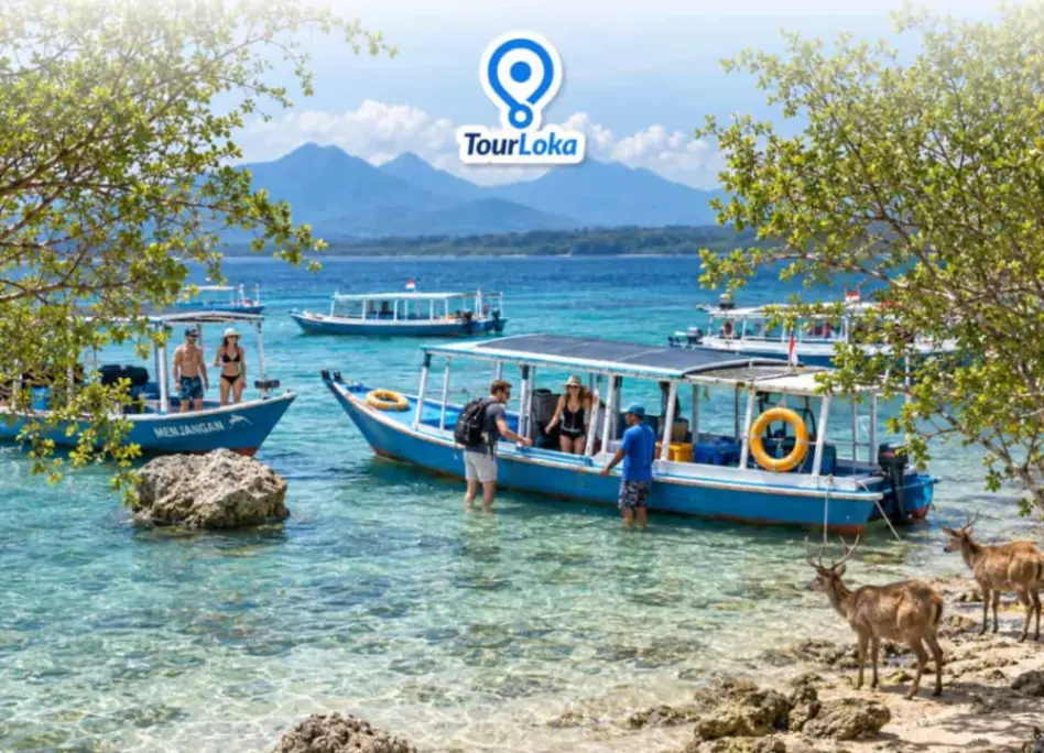 One Day Tour Banyuwangi Menjangan Island