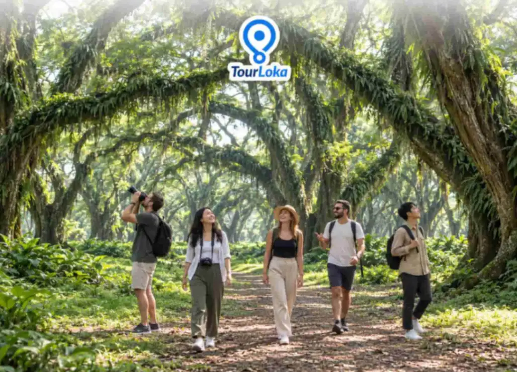 Two Day Tour Banyuwangi De-Djawatan Forest